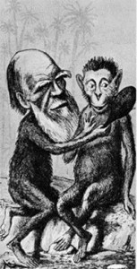 Ο Δαρβίνος και ο πίθηκος. Καρικατούρα εποχής.  (Πηγή: https://www.latercera.com)  