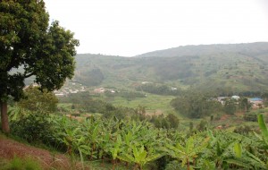 Ρουάντα, η χώρα με τους χίλιους λόφους.  Πηγή: https://wfwnotesfromthefield.wordpress.com/category/rwanda/